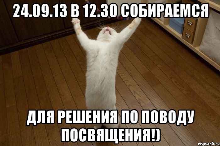 24.09.13 в 12.30 собираемся для решения по поводу посвящения!)
