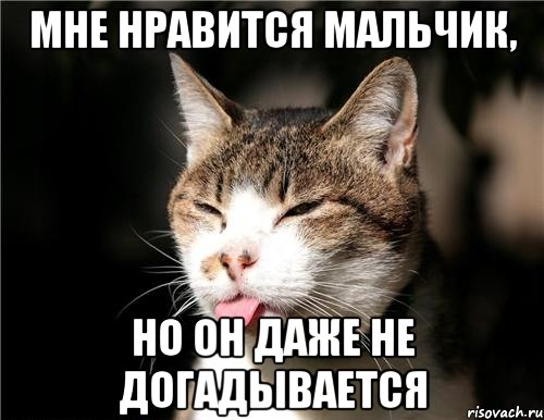 мне нравится мальчик, но он даже не догадывается, Мем кот с языком