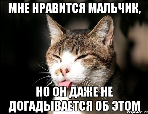 мне нравится мальчик, но он даже не догадывается об этом, Мем кот с языком