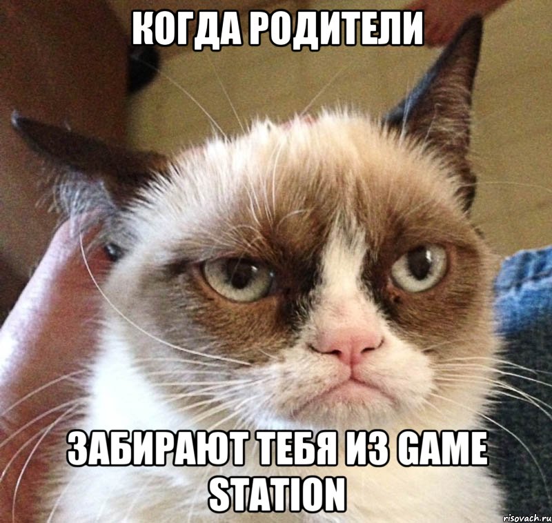 когда родители забирают тебя из game station, Мем Грустный (сварливый) кот