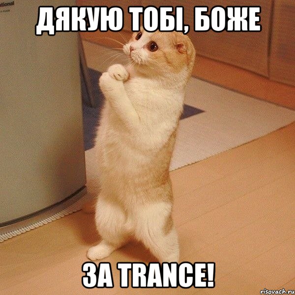 дякую тобі, боже за trance!, Мем  котэ молится