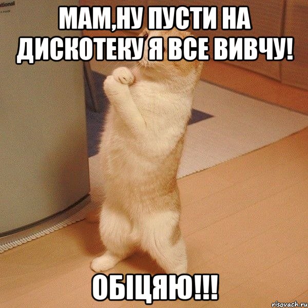 мам,ну пусти на дискотеку я все вивчу! обіцяю!!!, Мем  котэ молится