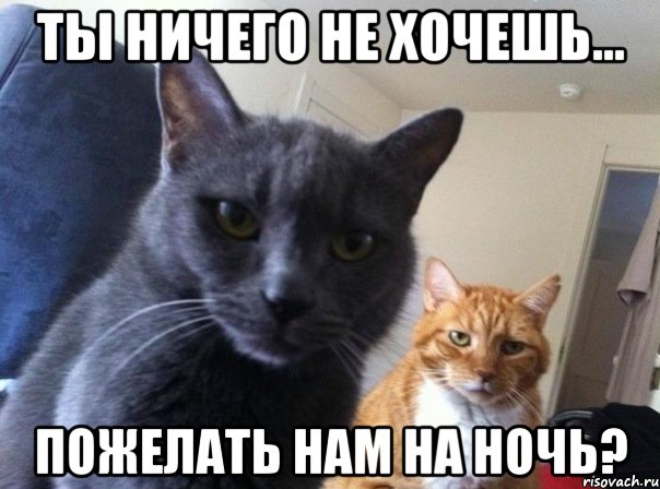 ты ничего не хочешь... пожелать нам на ночь?, Мем  Два котэ