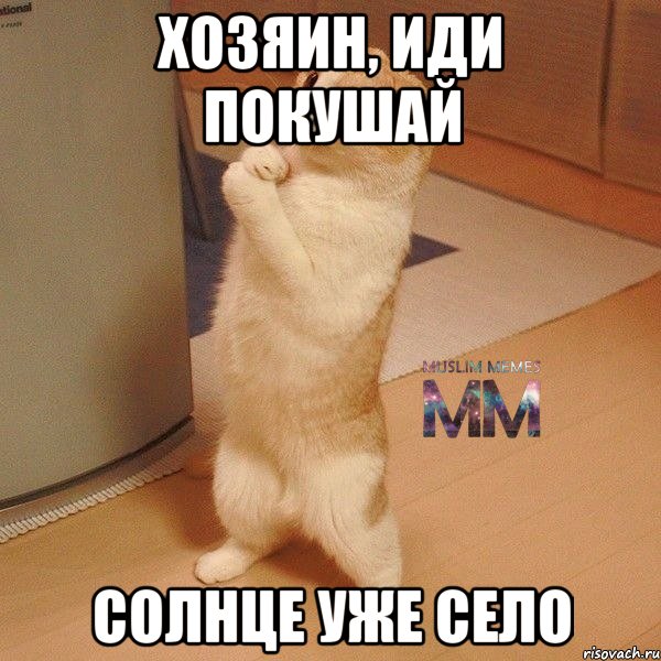 хозяин, иди покушай солнце уже село