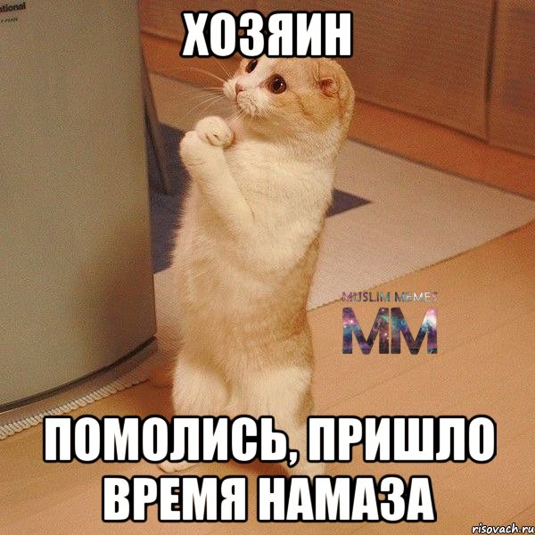 хозяин помолись, пришло время намаза