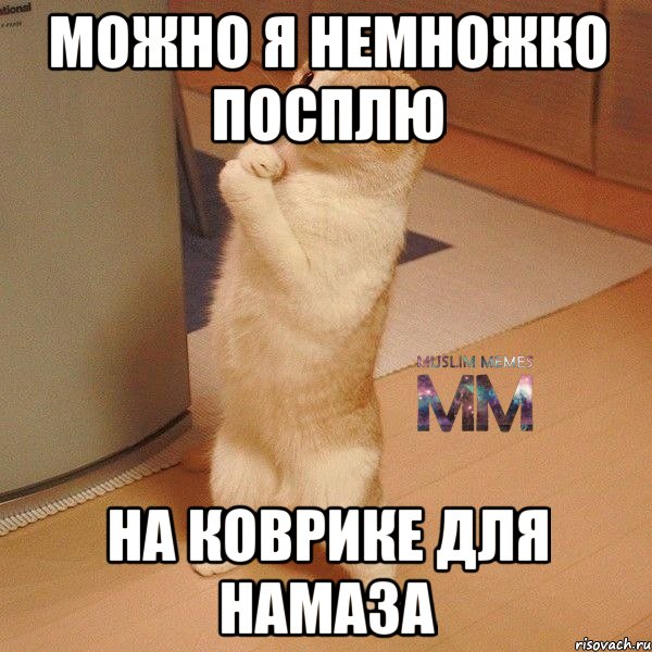 можно я немножко посплю на коврике для намаза