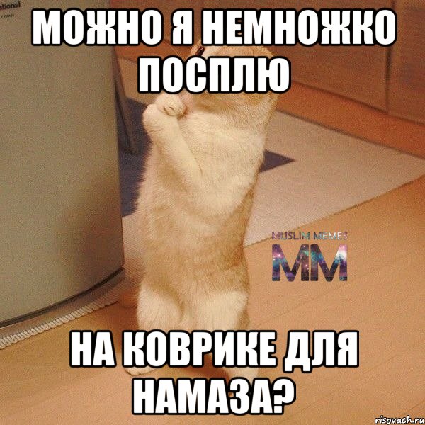 можно я немножко посплю на коврике для намаза?