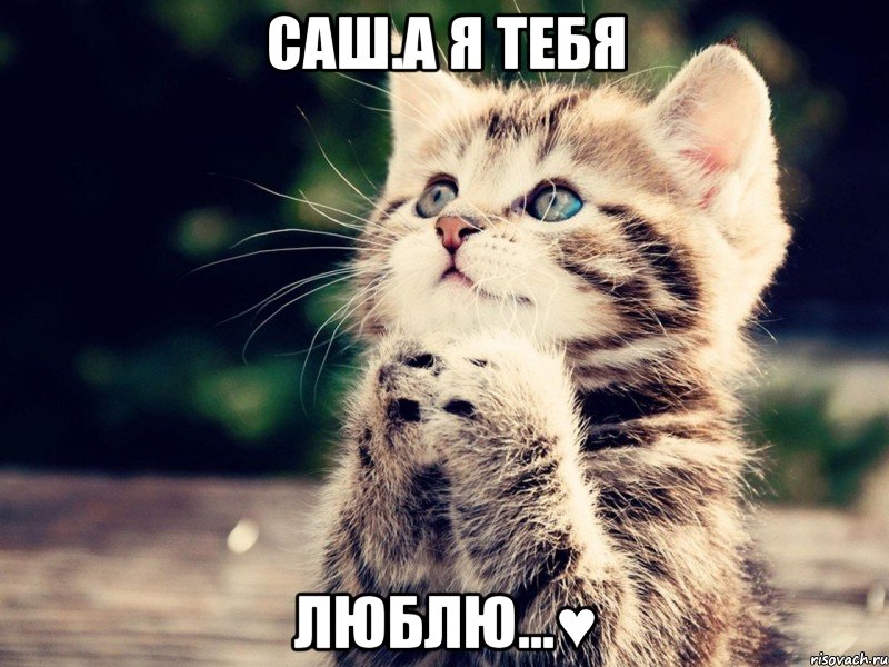 саш.а я тебя люблю...♥