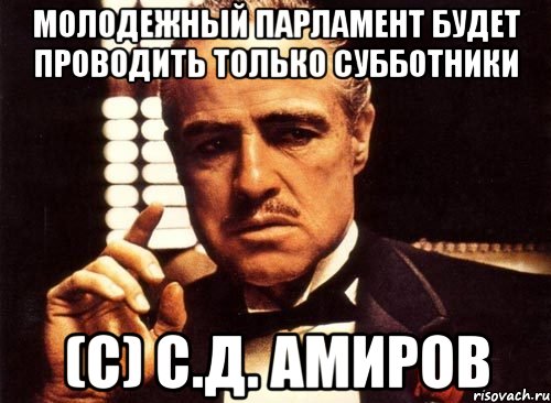 молодежный парламент будет проводить только субботники (с) с.д. амиров, Мем крестный отец