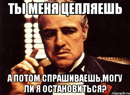 ты меня цепляешь а потом спрашиваешь,могу ли я остановиться?, Мем крестный отец