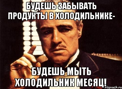 будешь забывать продукты в холодильнике- будешь мыть холодильник месяц!, Мем крестный отец