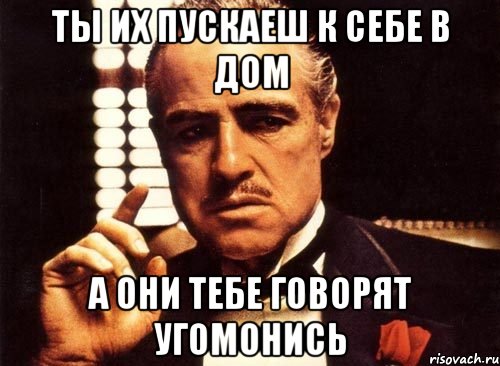 ты их пускаеш к себе в дом а они тебе говорят угомонись, Мем крестный отец