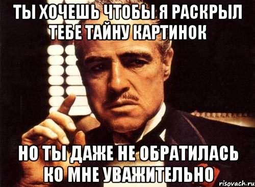 ты хочешь чтобы я раскрыл тебе тайну картинок но ты даже не обратилась ко мне уважительно, Мем крестный отец