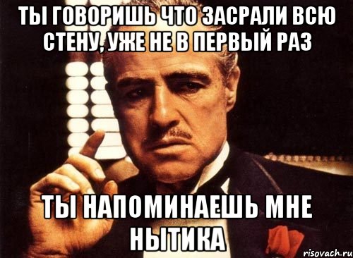 ты говоришь что засрали всю стену, уже не в первый раз ты напоминаешь мне нытика, Мем крестный отец