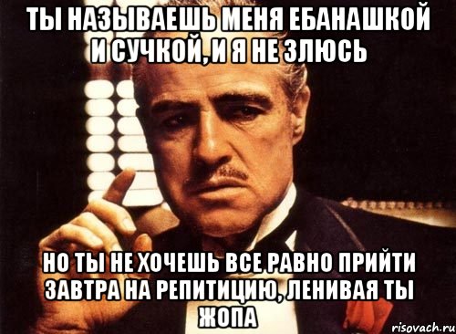 ты называешь меня ебанашкой и сучкой, и я не злюсь но ты не хочешь все равно прийти завтра на репитицию, ленивая ты жопа, Мем крестный отец