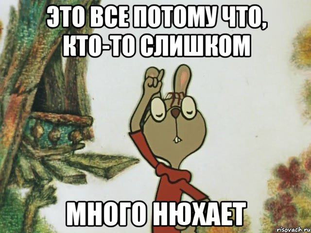 это все потому что, кто-то слишком много нюхает