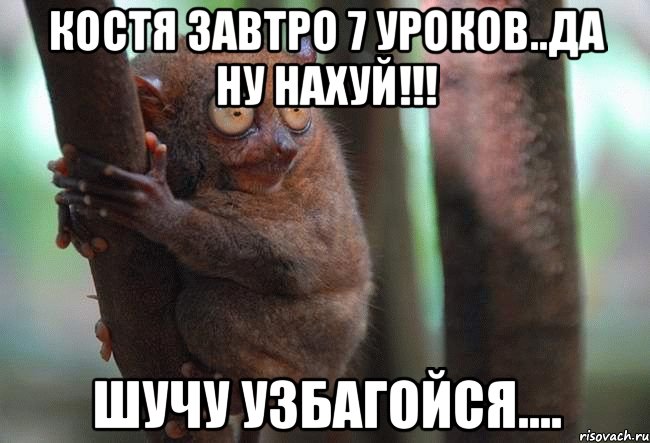 костя завтро 7 уроков..да ну нахуй!!! шучу узбагойся....