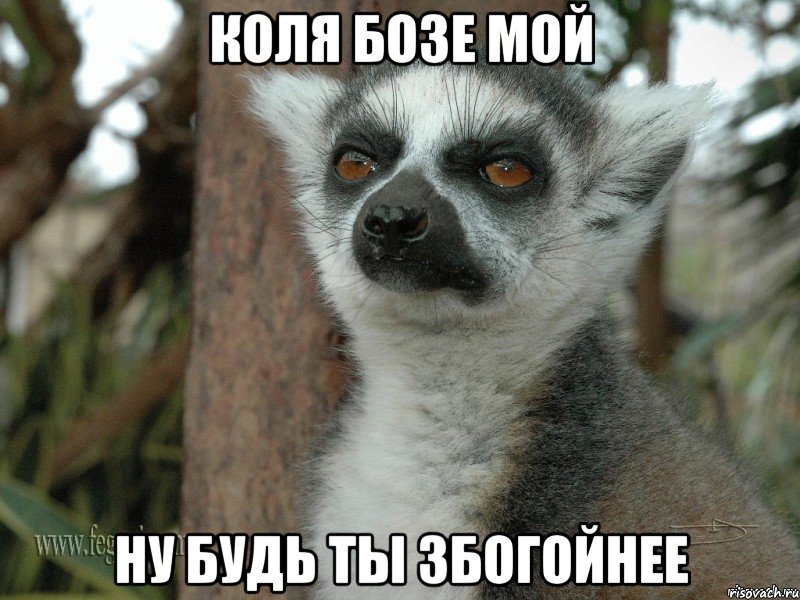 коля бозе мой ну будь ты збогойнее