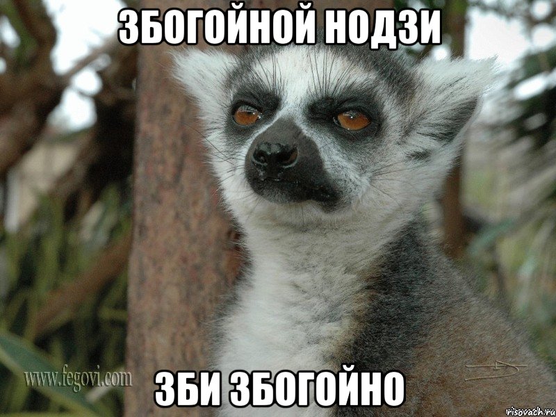збогойной нодзи зби збогойно