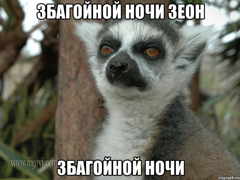 збагойной ночи зеон збагойной ночи
