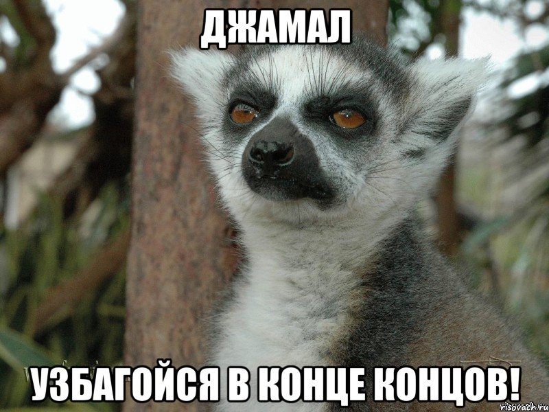джамал узбагойся в конце концов!