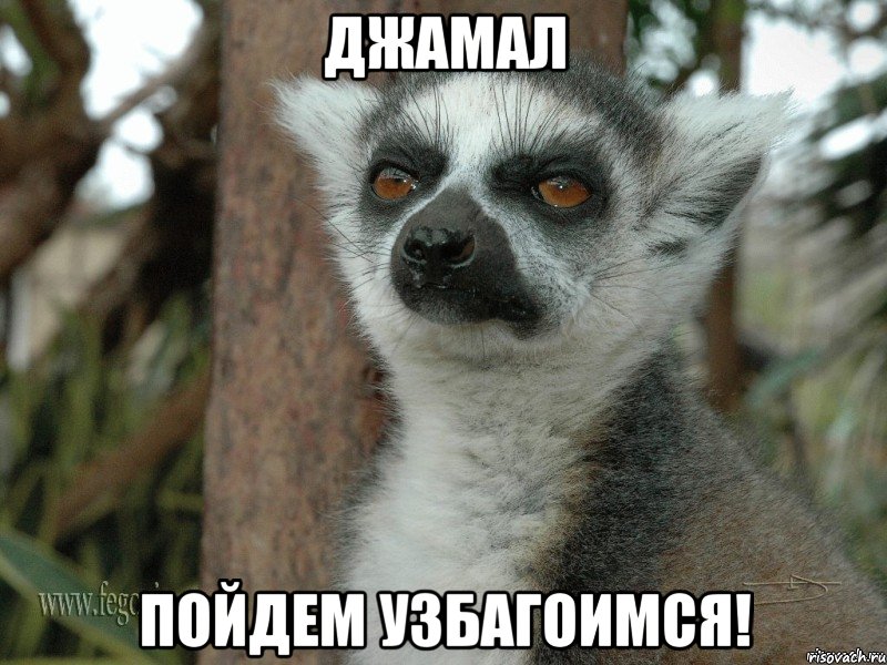 джамал пойдем узбагоимся!