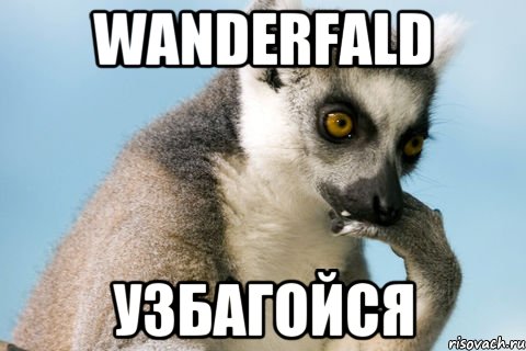 wanderfald узбагойся