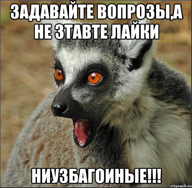 задавайте вопрозы,а не зтавте лайки ниузбагоиные!!!, Мем лемур