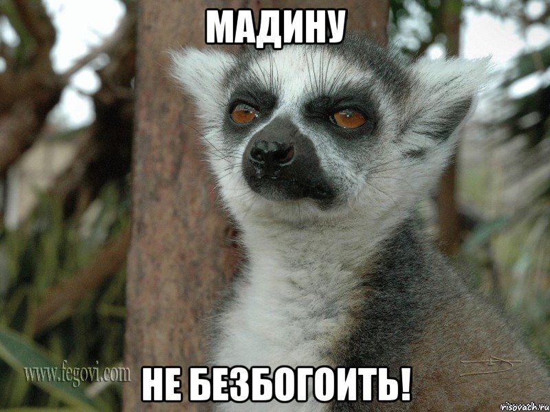 мадину не безбогоить!
