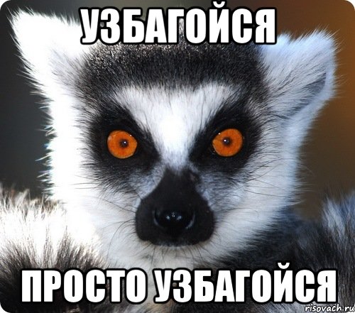 http://risovach.ru/upload/2013/09/mem/lemur_29252936_orig_.jpeg