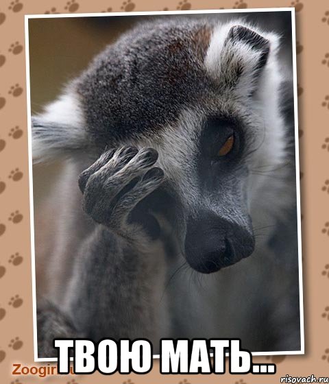  твою мать...