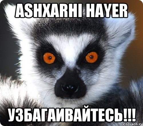 ashxarhi hayer узбагаивайтесь!!!, Мем лемур