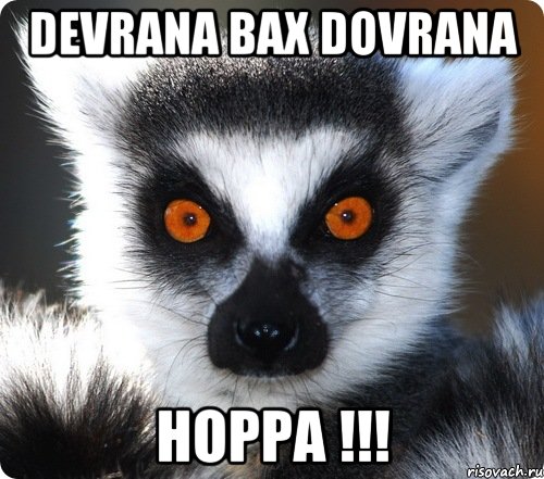 devrana bax dovrana hoppa !!!, Мем лемур