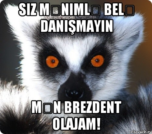 siz mənimlə belə danışmayın mən brezdent olajam!, Мем лемур