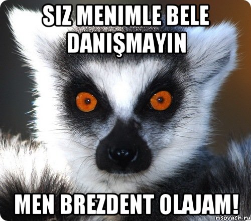 siz menimle bele danışmayın men brezdent olajam!, Мем лемур