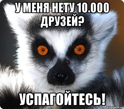 у меня нету 10.000 друзей? успагойтесь!, Мем лемур