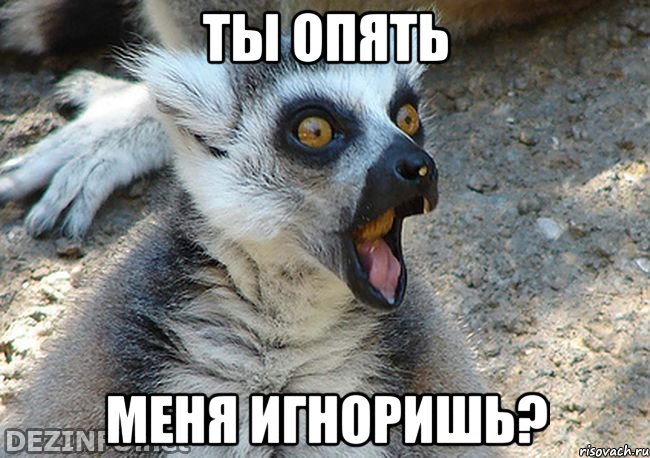 ты опять меня игноришь?