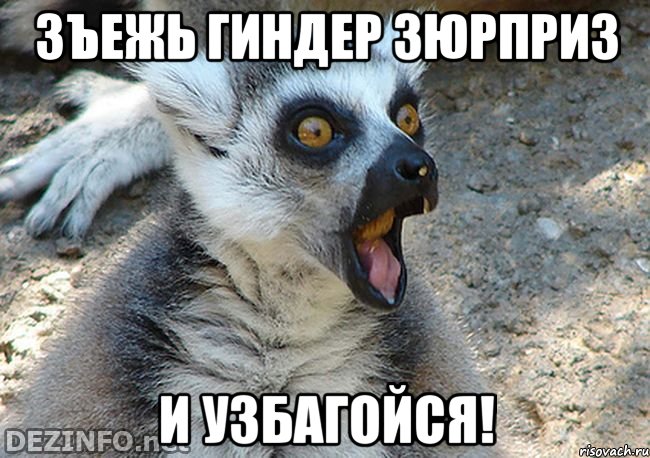 зъежь гиндер зюрприз и узбагойся!