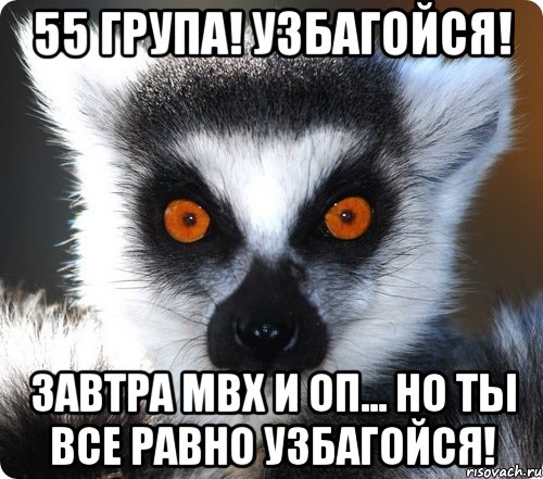 55 група! узбагойся! завтра мвх и оп... но ты все равно узбагойся!, Мем лемур