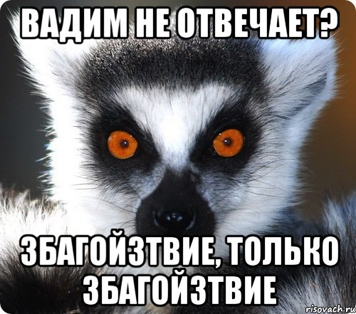 вадим не отвечает? збагойзтвие, только збагойзтвие, Мем лемур