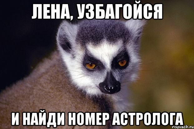 лена, узбагойся и найди номер астролога