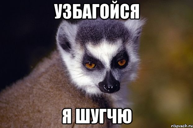 узбагойся я шугчю