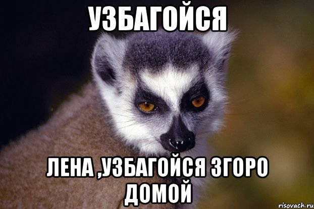 узбагойся лена ,узбагойся згоро домой