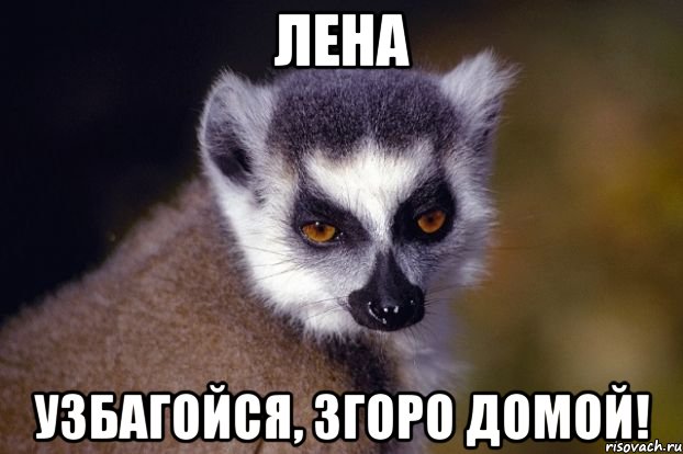 лена узбагойся, згоро домой!