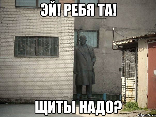 эй! ребя та! щиты надо?