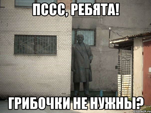 пссс, ребята! грибочки не нужны?, Мем  Ленин за углом (пс, парень)