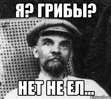 я? грибы? нет не ел..., Мем   Ленин удивлен