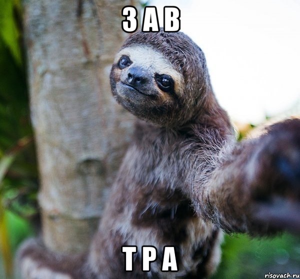 з а в т р а