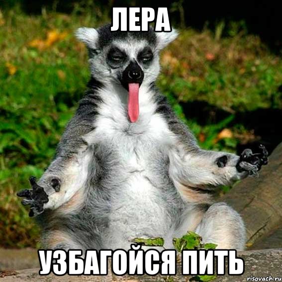 лера узбагойся пить