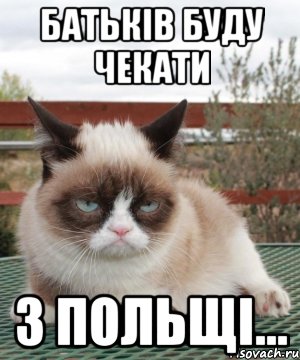 батьків буду чекати з польщі..., Мем лето